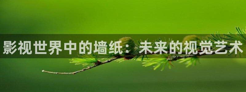 蓝莓影院电视剧